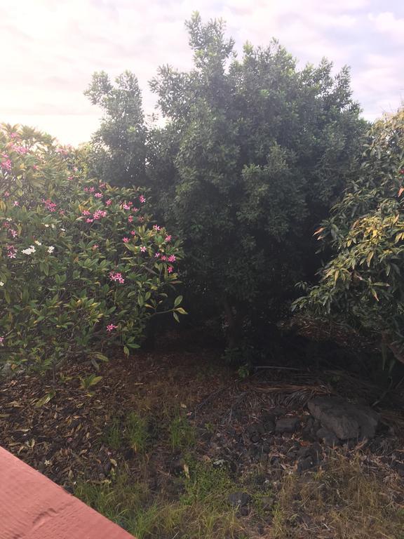 Ohana Hale Kailua-Kona Eksteriør billede