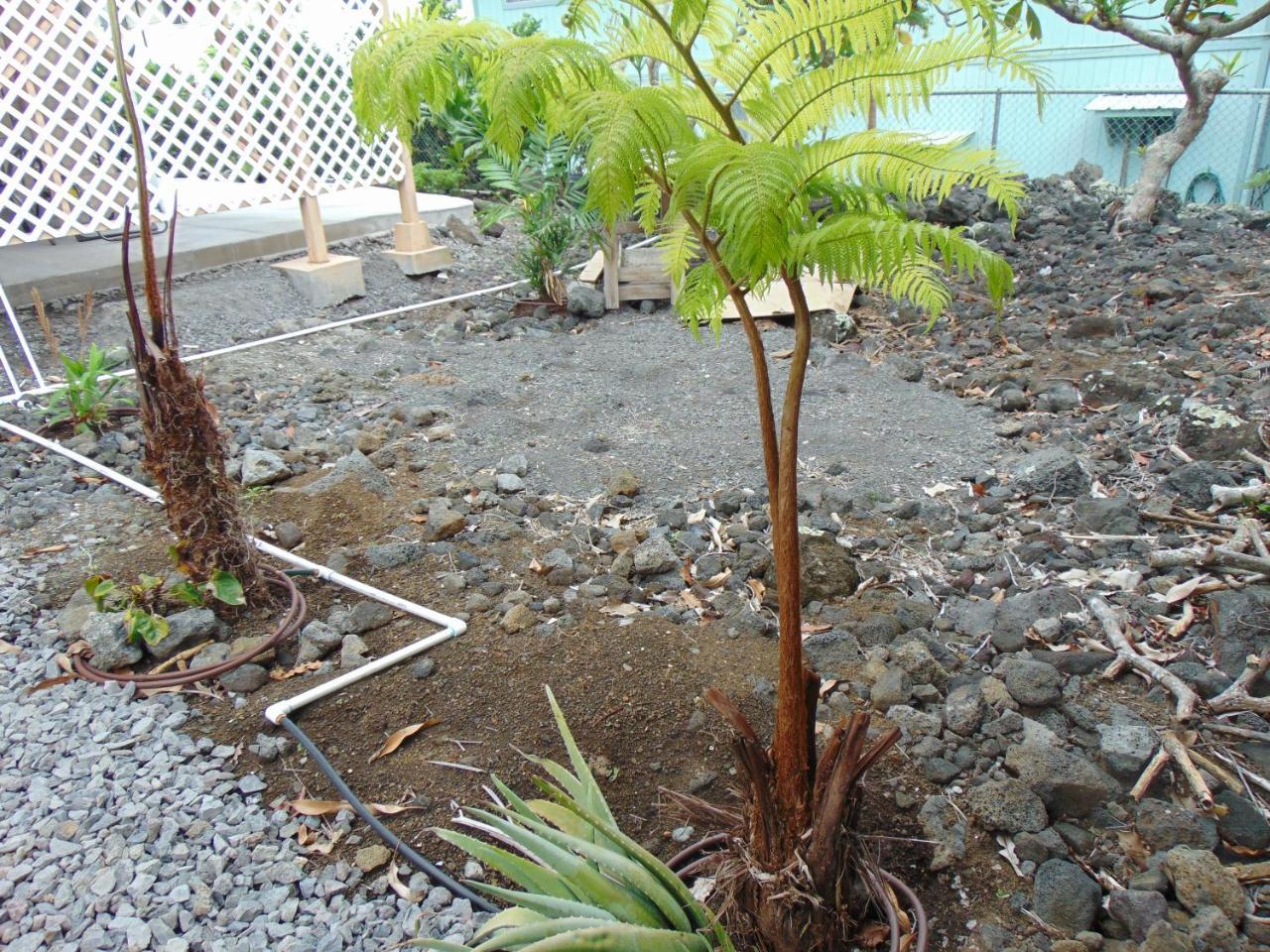 Ohana Hale Kailua-Kona Eksteriør billede